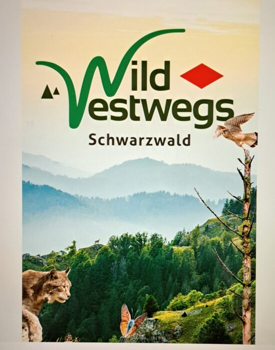 WildWestwegs Schwarzwald